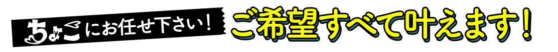 ちょこ札幌にお任せ下さい！ご希望すべて叶えます！