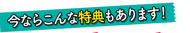 今ならこんな特典もあります！