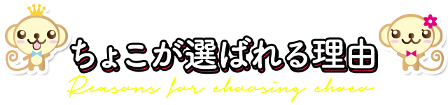 札幌のチャットレディプロダクションちょこ札幌が選ばれる理由