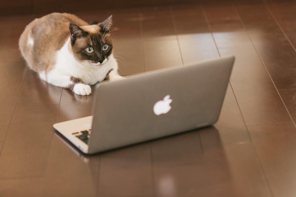 CAT9V9A9145_TP_V